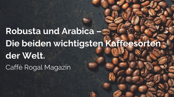 Robusta und Arabica – Die beiden wichtigsten Kaffeesorten der Welt.